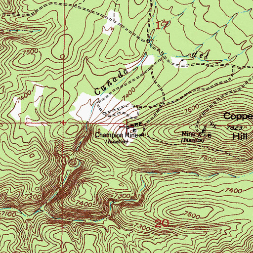 Topographic Map of Champion Mine, NM