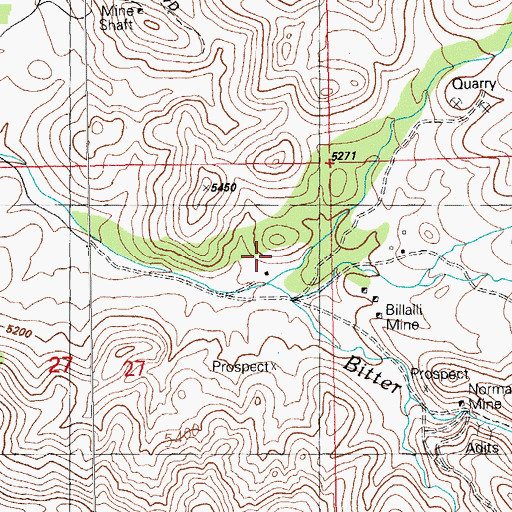 Topographic Map of Chapman Place, NM