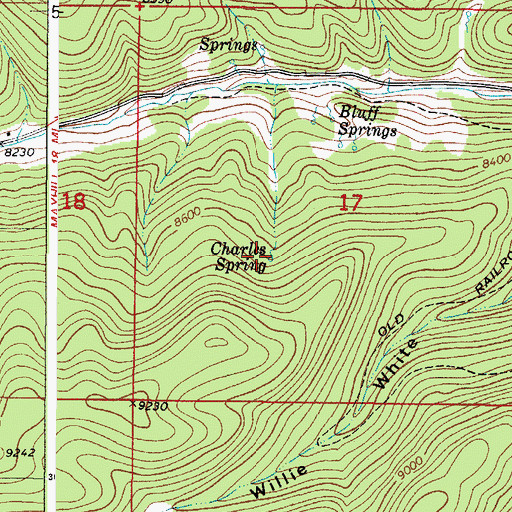Topographic Map of Charles Spring, NM