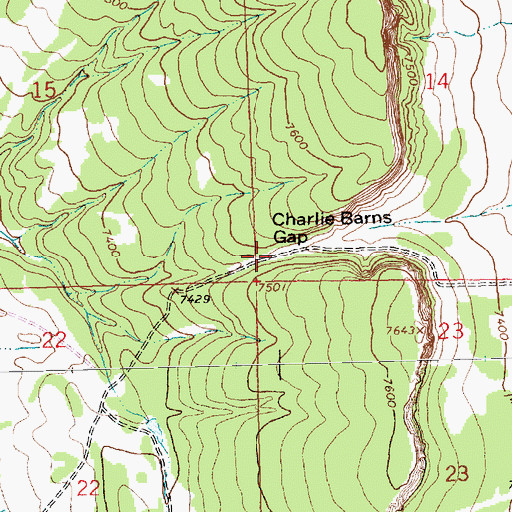 Topographic Map of Charlie Barns Gap, NM