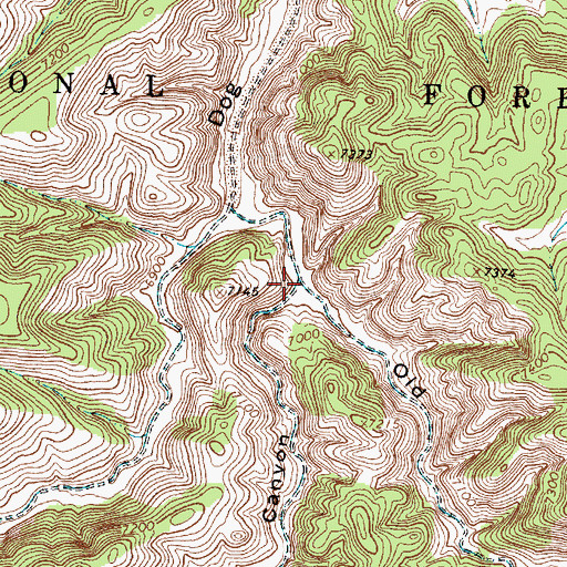 Topographic Map of Chavez Canyon, NM