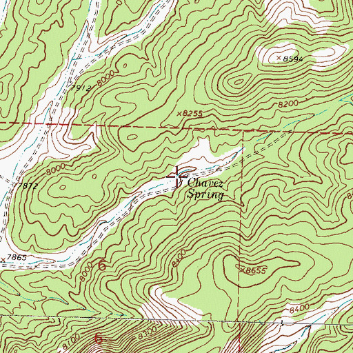 Topographic Map of Chavez Spring, NM