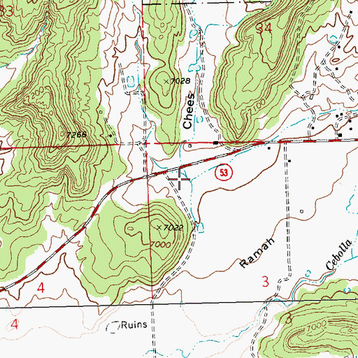 Topographic Map of Chees Hollow, NM