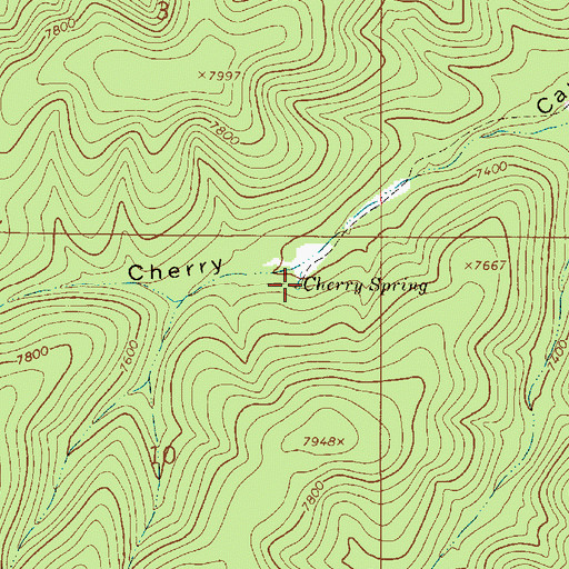 Topographic Map of Cherry Spring, NM