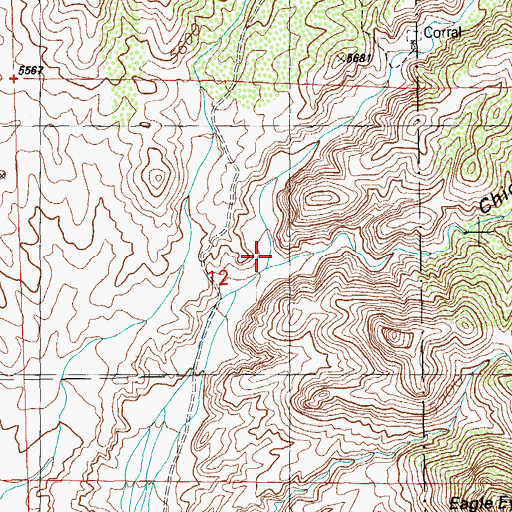 Topographic Map of Chicken Canyon, NM