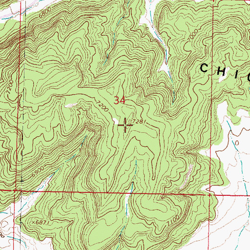 Topographic Map of Chicosa Ridge, NM