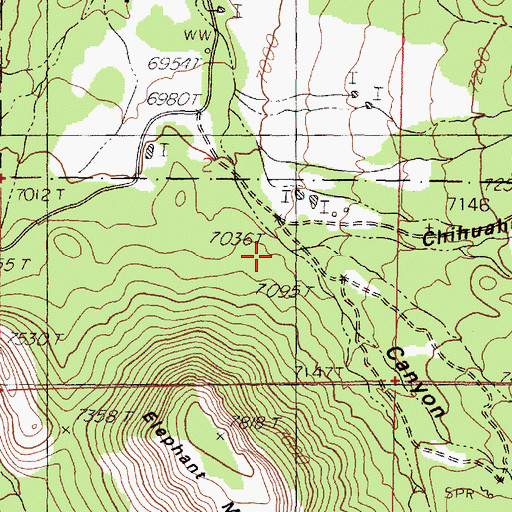 Topographic Map of Chihuahua Gulch, NM