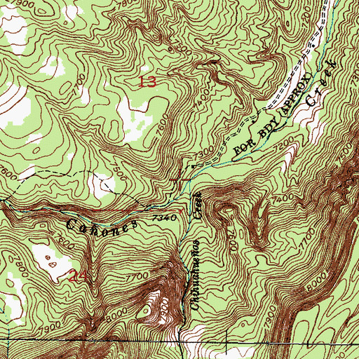 Topographic Map of Chihuahueos Creek, NM