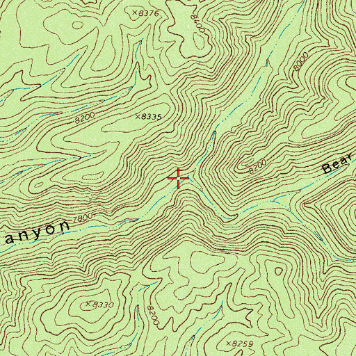 Topographic Map of Chimney Canyon, NM
