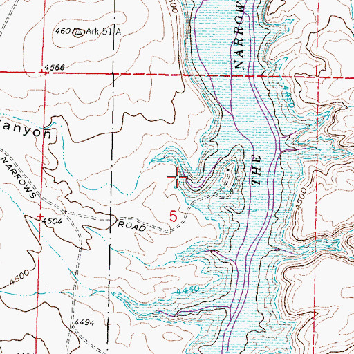 Topographic Map of China Canyon, NM