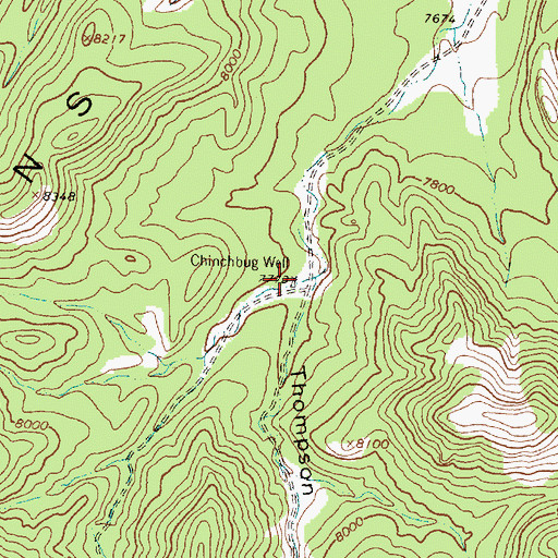 Topographic Map of Chinchbug Well, NM