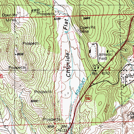 Topographic Map of Chloride Flat, NM
