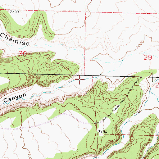 Topographic Map of Chole Canyon, NM