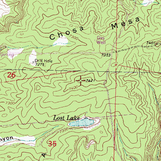Topographic Map of Chosa Mesa, NM