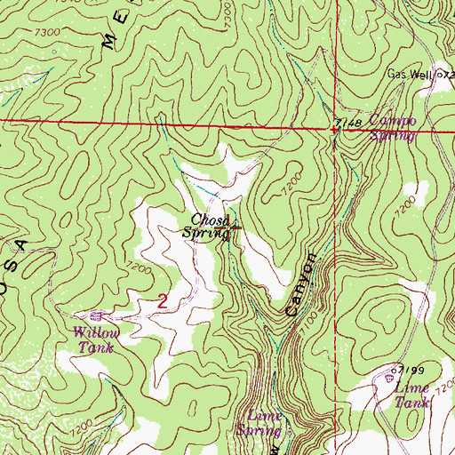 Topographic Map of Chosa Spring, NM