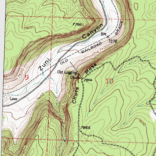 Topographic Map of Chute Mesa, NM