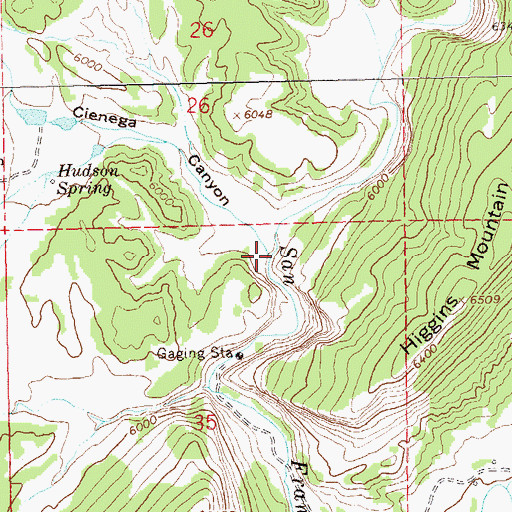 Topographic Map of Cienega Canyon, NM