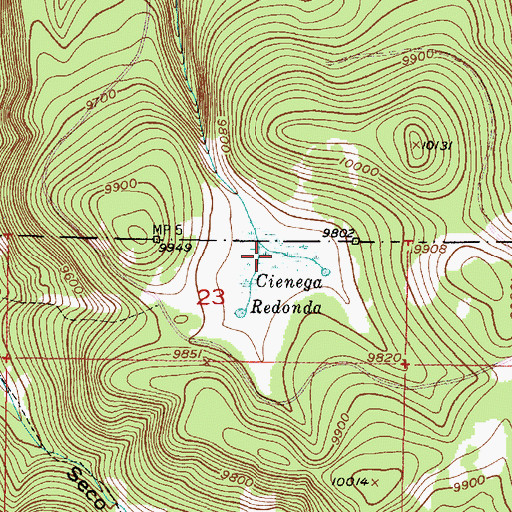 Topographic Map of Cienega Redonda, NM