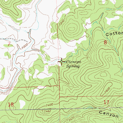 Topographic Map of Cienega Spring, NM