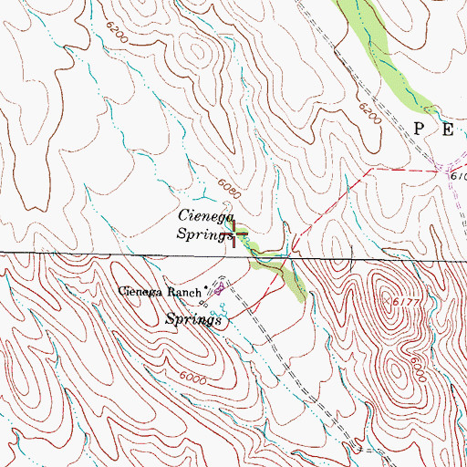 Topographic Map of Cienega Springs, NM