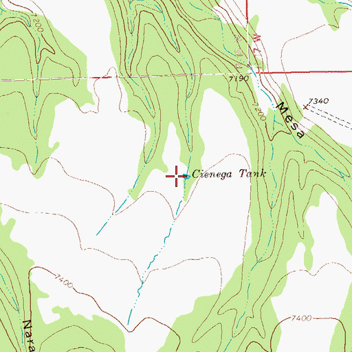 Topographic Map of Cienega Tank, NM