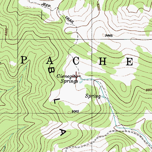 Topographic Map of Cienegita Springs, NM
