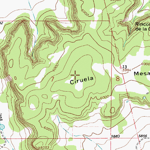 Topographic Map of Ciruela Mesa, NM