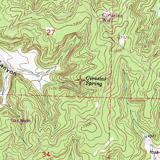 Topographic Map of Ciruelas Spring, NM