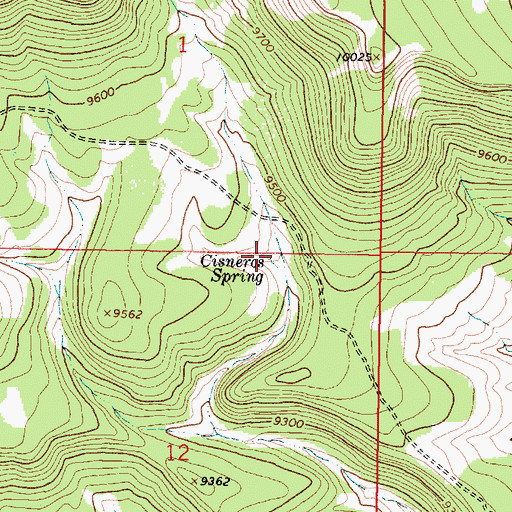 Topographic Map of Cisneros Spring, NM
