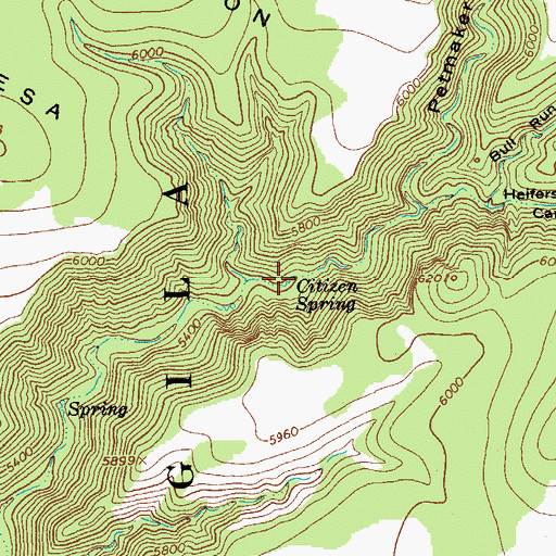 Topographic Map of Citizen Spring, NM