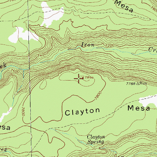 Topographic Map of Clayton Mesa, NM