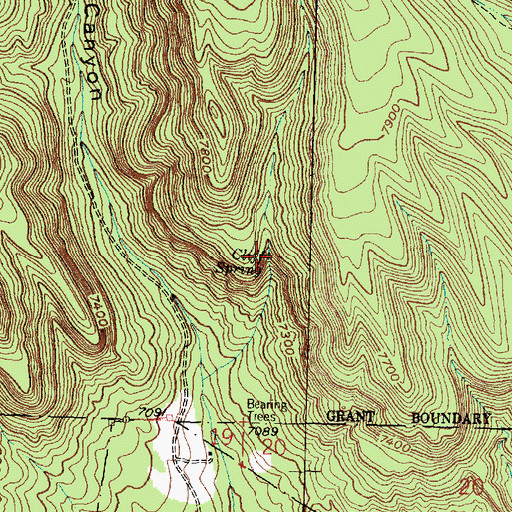 Topographic Map of Cliff Spring, NM