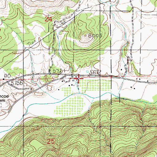 Topographic Map of Coe Ranch, NM
