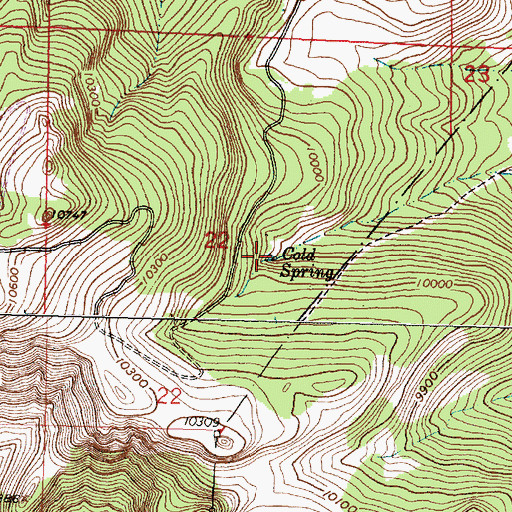 Topographic Map of Cold Spring, NM