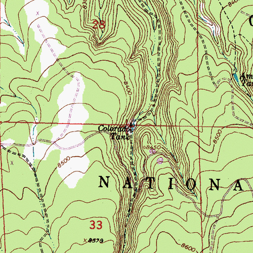 Topographic Map of Colorado Tank, NM