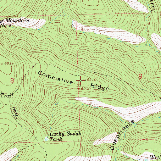 Topographic Map of Come-alive Ridge, NM