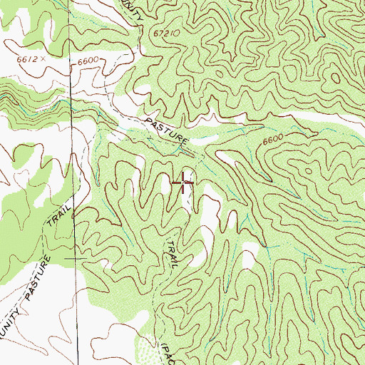 Topographic Map of Community Pasture Trail, NM