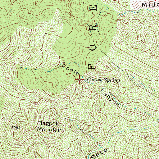 Topographic Map of Conley Spring, NM