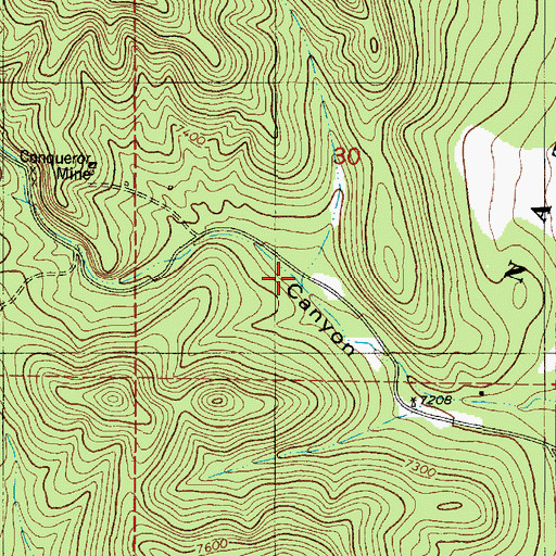 Topographic Map of Conqueror Mine, NM
