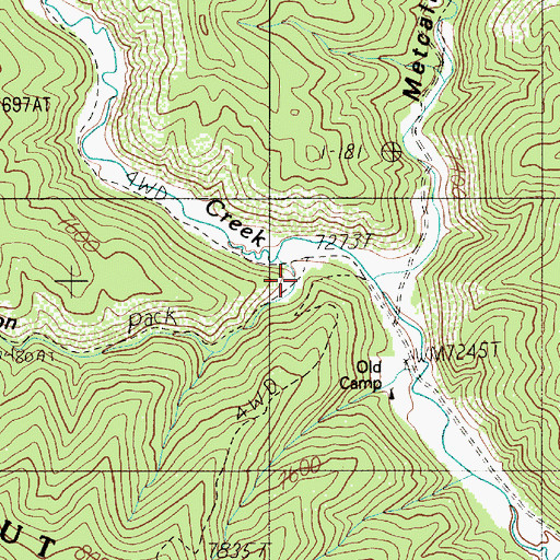 Topographic Map of Cook Canyon, NM