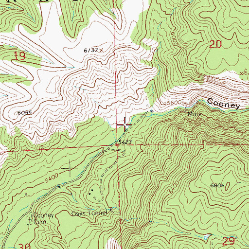 Topographic Map of Cooney Canyon, NM