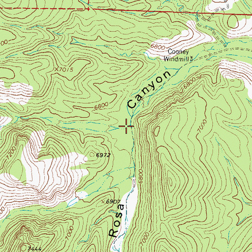 Topographic Map of Cooney Canyon, NM