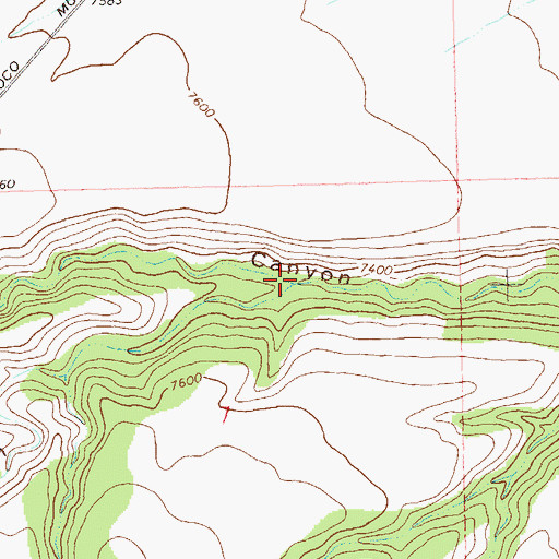 Topographic Map of Cooney Canyon, NM