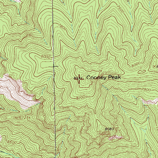 Topographic Map of Cooney Peak, NM