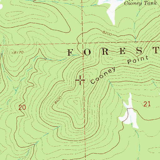 Topographic Map of Cooney Point, NM