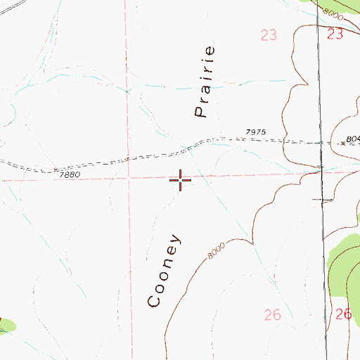 Topographic Map of Cooney Prairie, NM