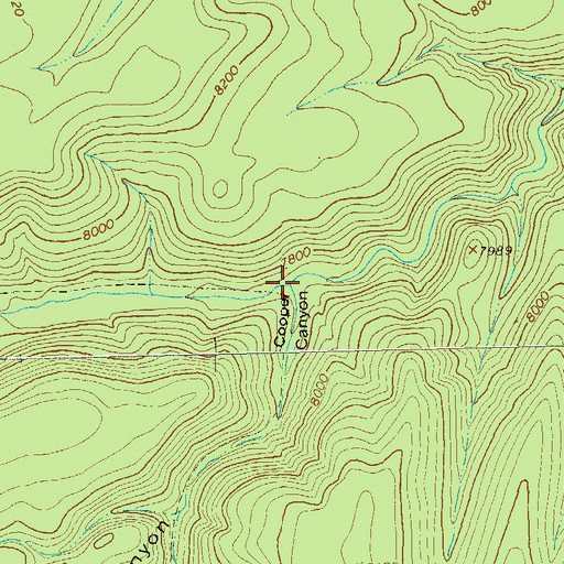 Topographic Map of Cooper Canyon, NM