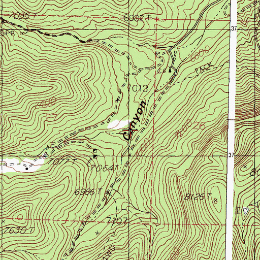 Topographic Map of Copper Canyon, NM