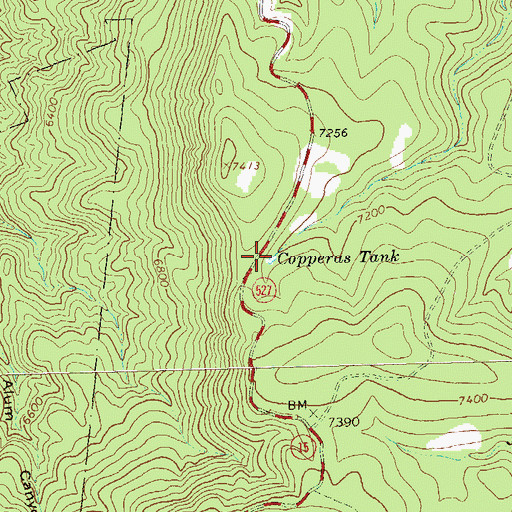 Topographic Map of Copperas Tank, NM