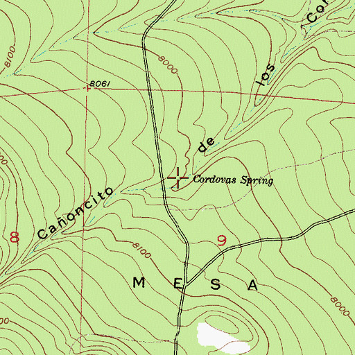 Topographic Map of Cordovas Spring, NM